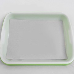 Beige Germinating Nursery Paper for Vegetable Planting and Garden Supplies