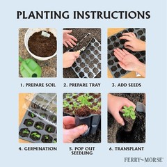 Reusable 72 Cells Seed Starting Tray Pro Hex Design Plastic Plant Germination