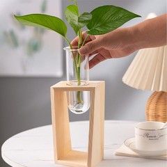 Hydroponic Glass Planter Geometric with Wooden Stand for Desktop Decor Plants