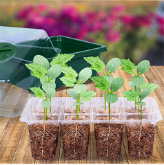 Gardening Cultivation Box Kit Seed Starter Tray LED Grow Light Garden Plant