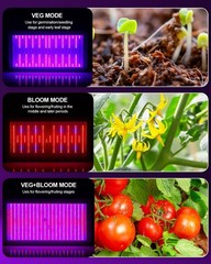 Plant Grow Light with Veg & Bloom Switch for Hydroponic Indoor Plants