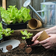 10pcs Soilless Cultivation Inserting Plant Fertilizer Nutrient Block