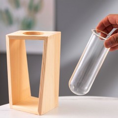 Hydroponic Glass Planter Geometric with Wooden Stand for Desktop Decor Plants