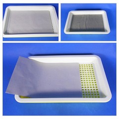 100Sheets Germinating Nursery Paper Planting Paper for Bud Growth