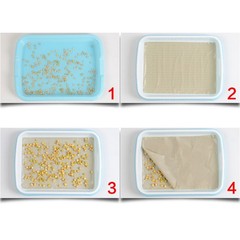 Easy Clean Multifunction Germination Tray for Hassle Sprouting Projects