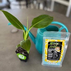 Banana Fuel Plant Fertilizer – Water-Soluble 15-5-30 Blend – (1 or 2 LB bag)