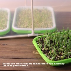 Mini Greenhouse for Indoor Plants ,Nursey Seed Transparent