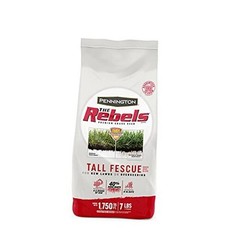 The Rebels Tall Fescue Grass Seed Mix 7 lb