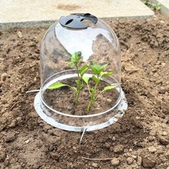6X Humidity Dome for Plants Cloche Garden Vegetable Nursery Cover 10.2in x 8.3in