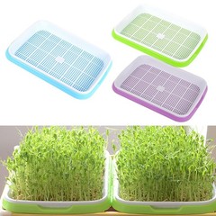 Easy Clean Multifunction Germination Tray for Hassle Sprouting Projects