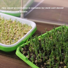 Mini Greenhouse for Indoor Plants ,Nursey Seed Transparent