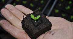 Ladbrooke Soil Block Maker – Micro 20. Authorized Reseller.