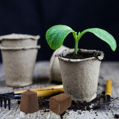 10pcs Soilless Cultivation Inserting Plant Fertilizer Nutrient Block