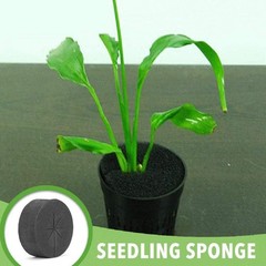 30 Pack Cloning Collars Inserts,Garden Clone Collars Fits 2 Inch Net Cups,Pla…
