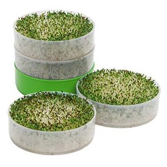 Propagador De Semillas Con 4 Bandejas Y Alfalfa Para Brotes Saludables