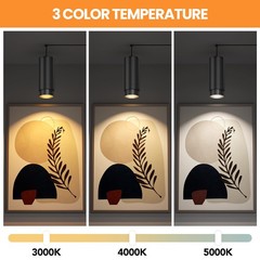 TuyuBEE Zoomable Remote Pendant Grow Lights with 1 Light Timer, Black