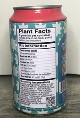 NEW – Buzzy Pansy Pop Growing Kit – Grow Kit In A Soda Can-Great Gift!