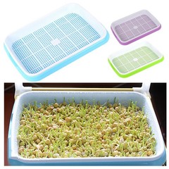 Easy Clean Multifunction Germination Tray for Hassle Sprouting Projects