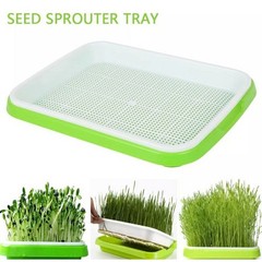 Sprouter Tray With Lid BPA Bean Sprout Grower Wheatgrass Grower 33*26*5cm