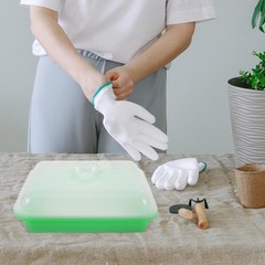 Vegetable Sprouting Container Garden Tray Microgreens Growing Trays