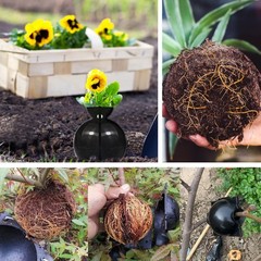 12 PCS Plant Root Growing Box, Reusable Air Layering Propagation Kit Rooting …