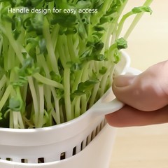 Bean Sprouting Tray Reliable Cultivation Tray for Nutritious Bean Sprout Indoors
