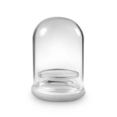 Terra Gel Plant Propagation with Glass Dome – Advanced Technology and Easy to Us