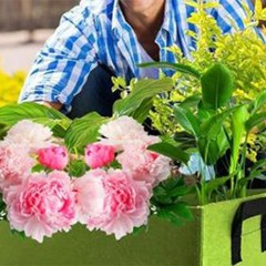 Rectangular Grow Bags for Vegetables 4Pcs Set with Ample Planting Space