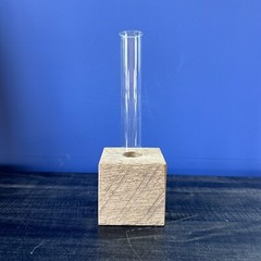 Propagation Single Glass Tube Wood Base June & December Spring Gardening Plant