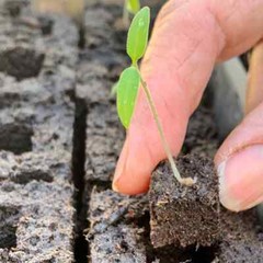 Ladbrooke Soil Block Maker – Micro 20. Authorized Reseller.