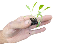 «As Is» Ladbrooke Soil Block Maker – Micro 20. Authorized Reseller.
