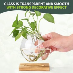 Clear Hydroponic Glass Vase for Pothos Plant – Office Desk and Living Room Decor