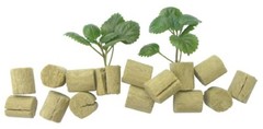Grodan Macroplugs 100 Pack Rockwool *BULK SAVINGS*