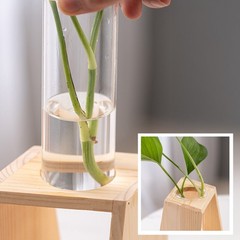 Hydroponic Glass Planter Geometric with Wooden Stand for Desktop Decor Plants