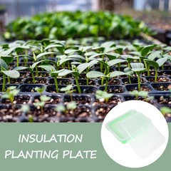 Sprout Tray Germination Plate for Vegetables Nursery Supply Indoor Planting