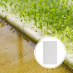 150PCS Professional Germinating Paper Paper Sprout Vegetable Planting