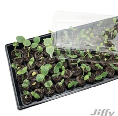 Jiffy J372PROGS Professional Greenhouse Kit, 11 x 22 In. Tray, 72 Pellets –