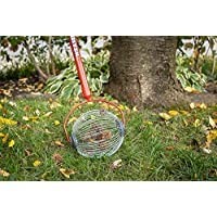 Nut Gatherer – Small Cage | Pick Up Small Acorns, Buckeyes, Beech Nuts | Nut …