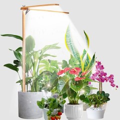 Wooden Grow Lights for Indoor Plants Full Spectrum, Slim Indoor Plant Growing…