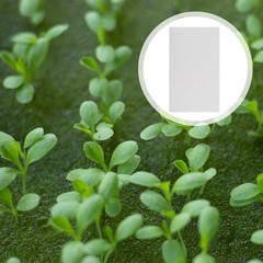 150Pcs Reusable Germinating Paper for Planting White Durable Sprout Paper
