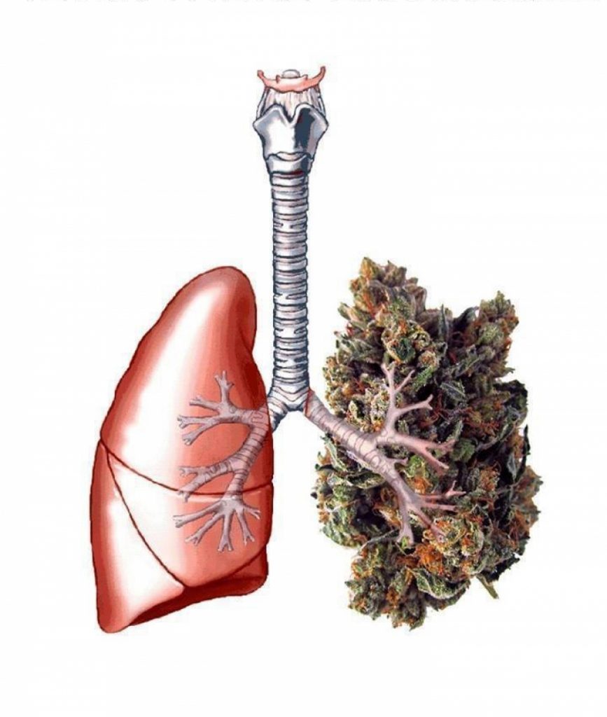ComoCultivo.com