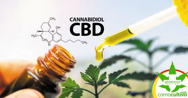 Los Efectos Medicinales Del Cannabidiol Cbd 