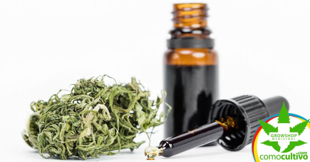 dosis de aceite medicinal de cannabis