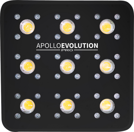 Apollo Evolution PRO 9
