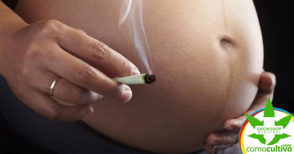 cannabis durante el embarazo