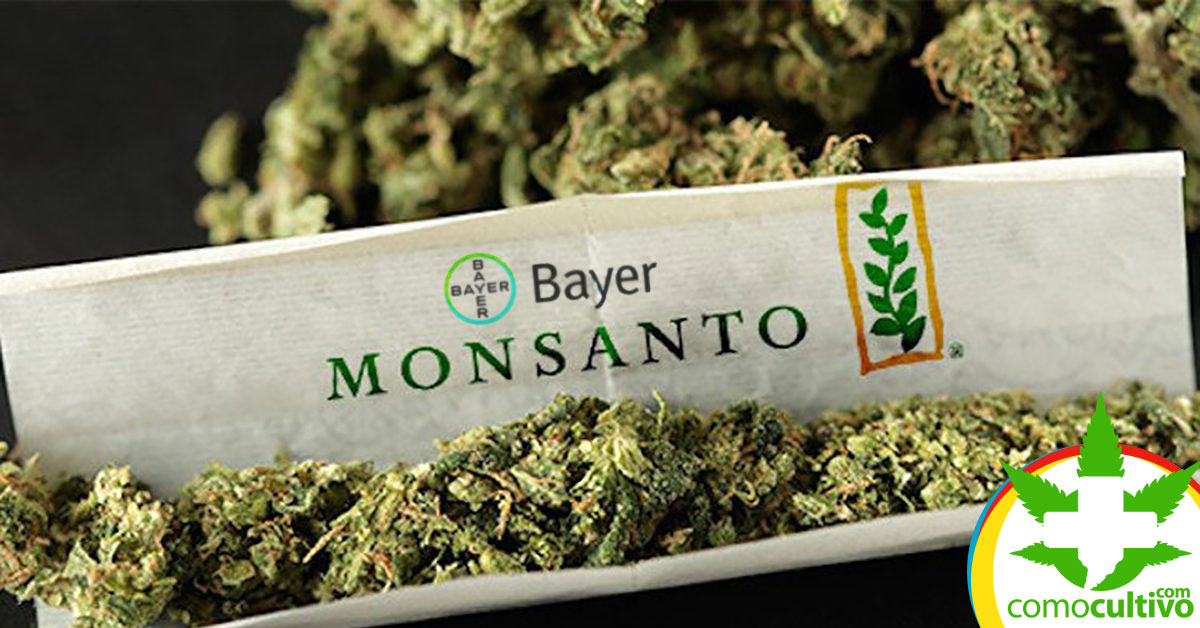 Tabacaleras y Monsanto quieren la industria del Cannabis