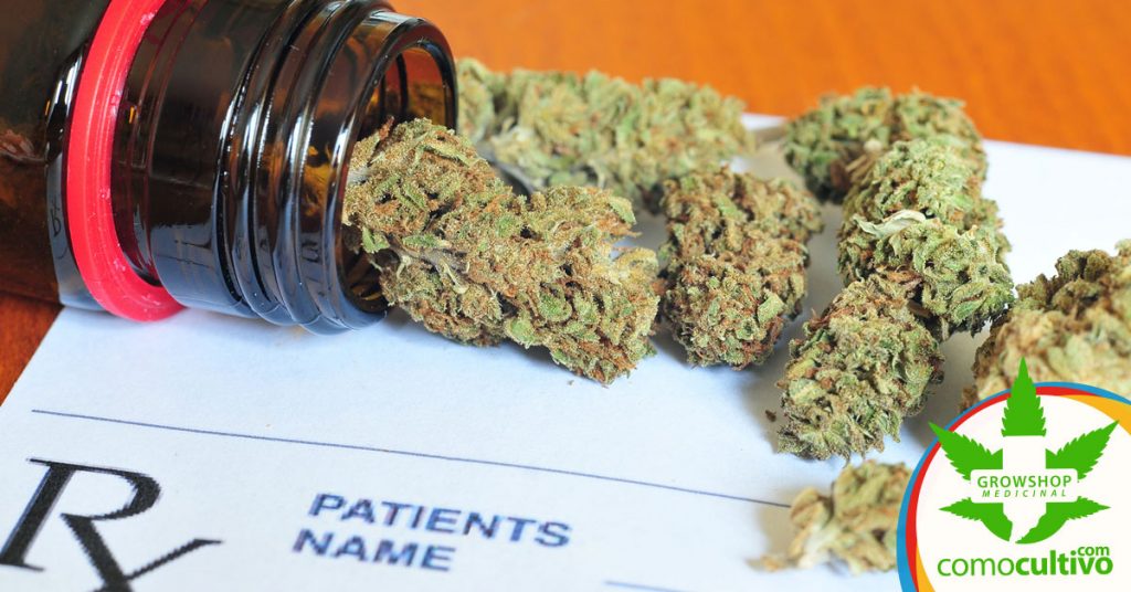 tratamientos con cannabis medicinal