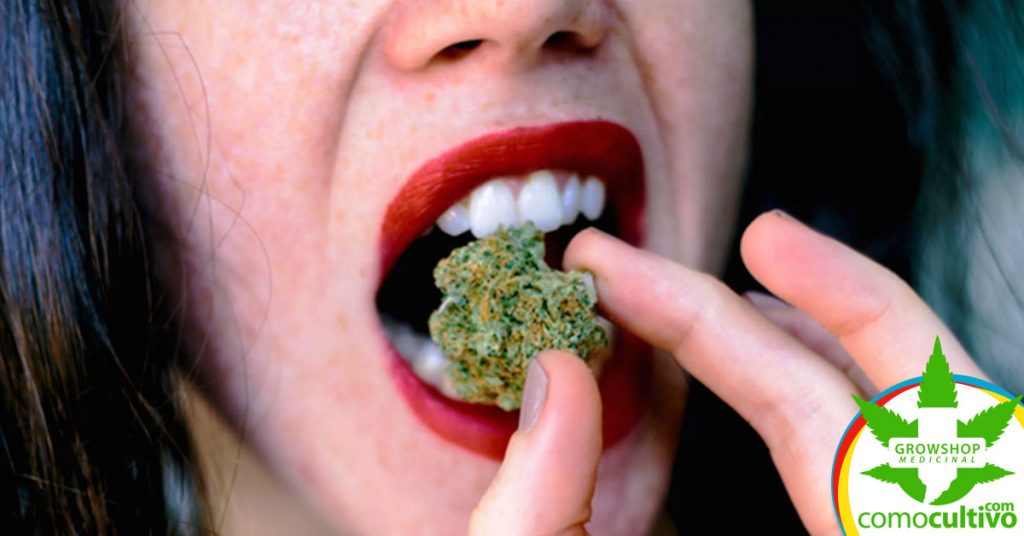 comer la cannabis