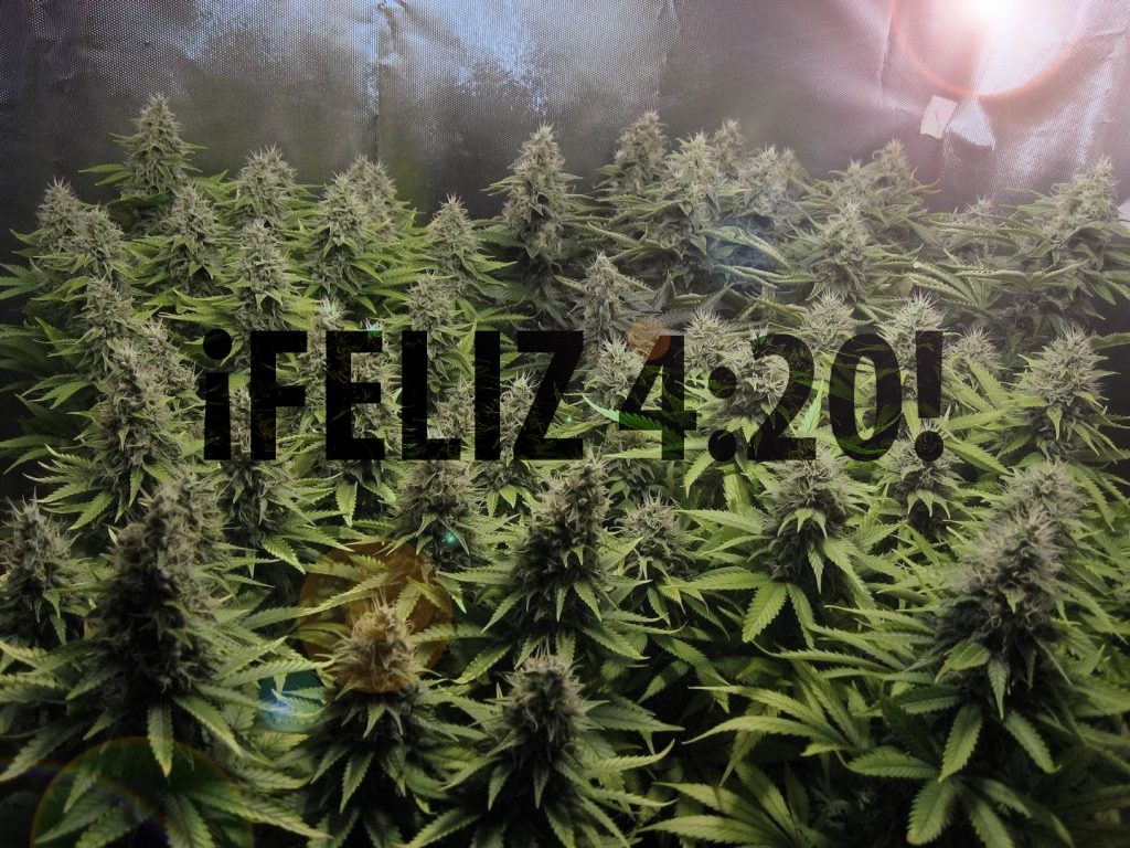 ComoCultivo.com