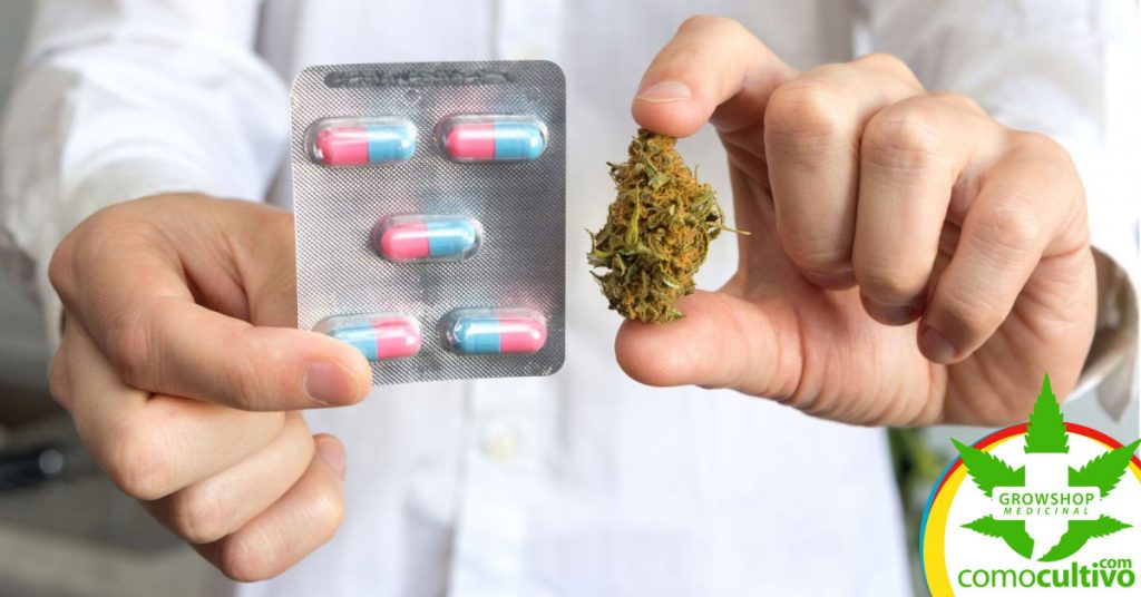 fármacos incompatibles con la cannabis